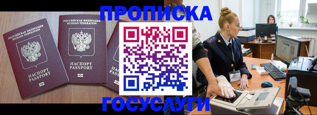 прописка поиск в Бийске